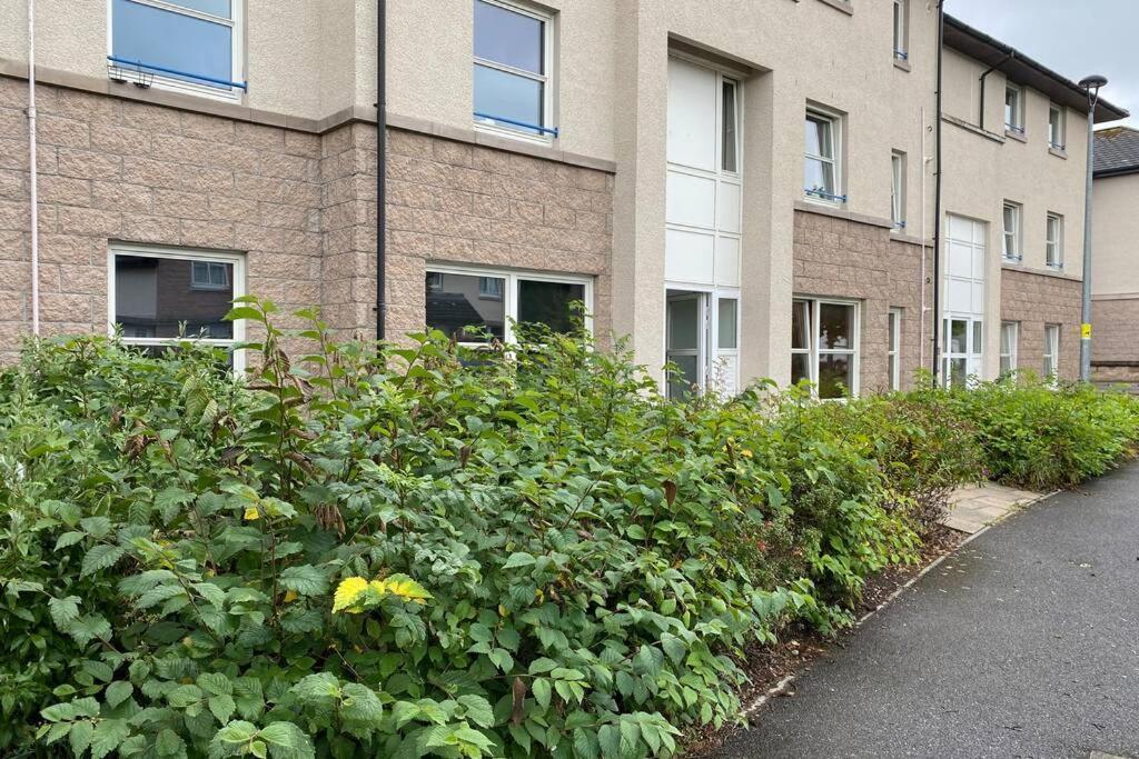 Peter Pan Apartment In The Heart Of Inverness Dalneigh Eksteriør bilde